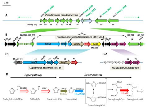 A Case of Adaptive Laboratory Evolution (ALE): Biodegradation of ...