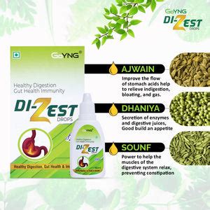 Goyng Dizest Ajwain Saunf Dhania (Natural Drops For Digestive Health ...