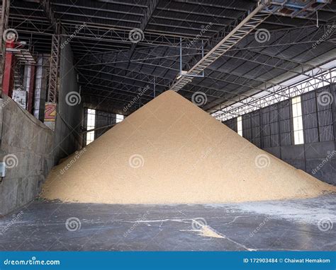 Pile Paddy in the Rice Mill. To Wait To Be Polished To Rice. Rice Mill ...