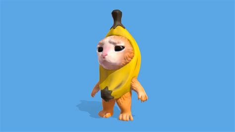 Image result for Cat Writing Python Code