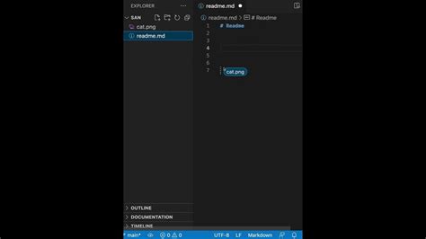 Image result for How to Insert Images On Any File Is vs Code
