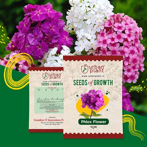 Buy Flower Seeds Online India - Fresh, High-Quality Gardening Seeds ...