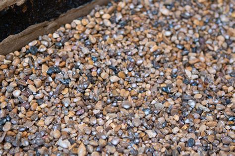 DIY Mulch Glue: A Simple and Effective Way to Keep Mulch in Place ...