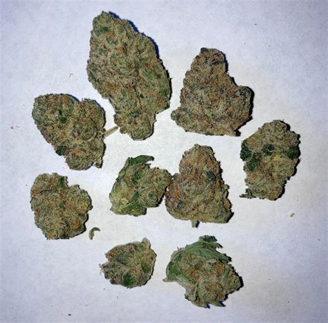 Wonka Bars by Kind Tree : r/NewJerseyDispoReviews