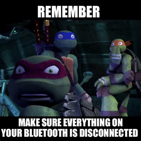 Turtle meme | Tmnt characters, Teenage mutant ninja turtles artwork ...