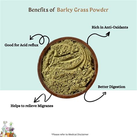 Barley Grass Powder – Madurasherbals