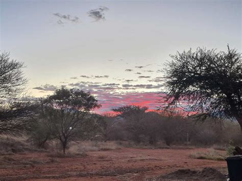 Durango Plekkie In Die Bos, Thabazimbi