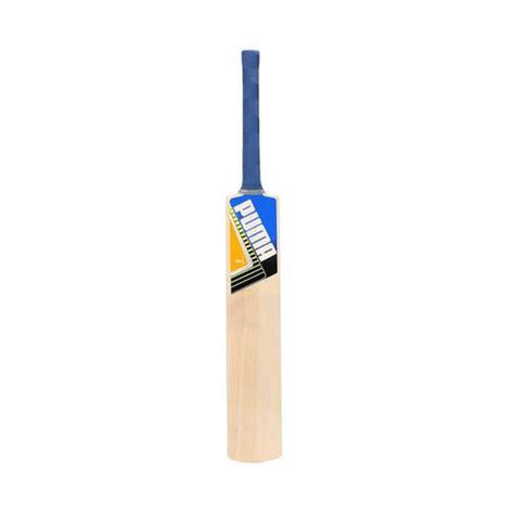 Buy Puma Future STB Bat 1.3 Kashmir Willow Cricket Bat Online-SCS Sports