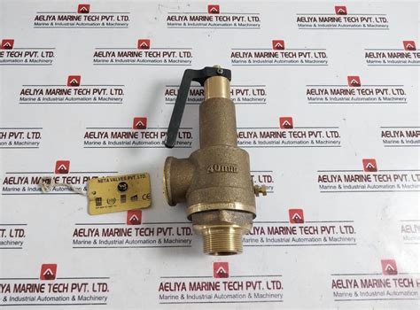 Neta Valves Wj 40Mm Bronze Spring Loaded Safety Relief Valve Cx75928 ...
