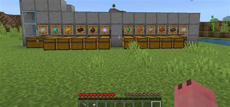 Image result for Cheapest Sorting System Minecraft