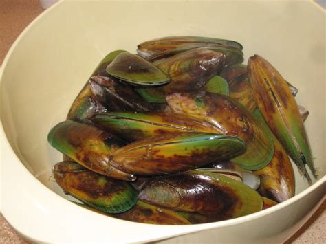 Cannundrums: New Zealand Green-Lipped Mussels