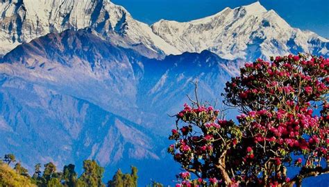 Trekking de 3 días por Poon Hill y Ghorepani, Pokhara - Central de Reservas