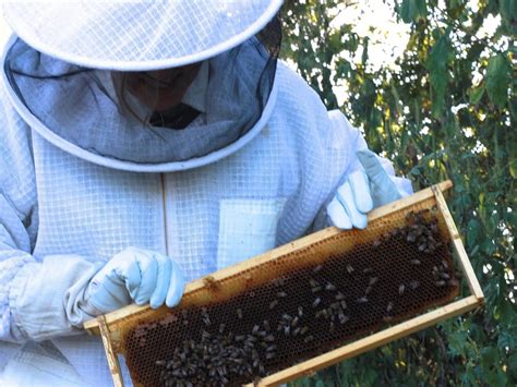 TWO HIVES HONEY - All You Need to Know BEFORE You Go 2026 (with Photos ...