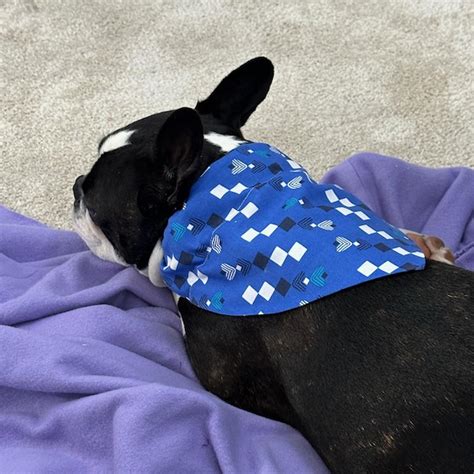 Image result for Free Thread Catcher Sewing Pattern