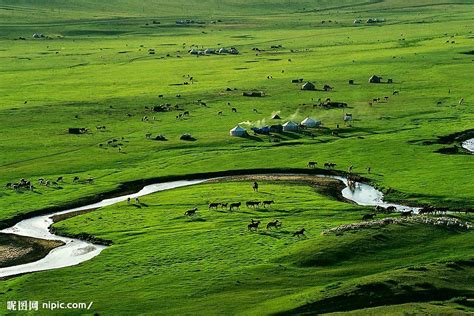 别让草原走进博物馆 你不可错过的内蒙古绿|草原|内蒙古_凤凰旅游
