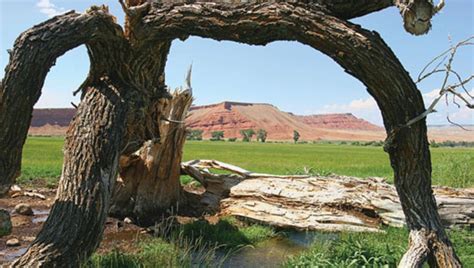 Medicine Wheel Lodge Retreats & Workshops