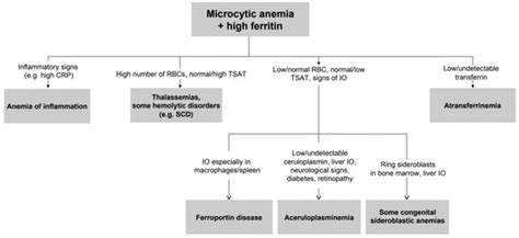 Genetic and Clinical Heterogeneity in Thirteen New Cases with ...