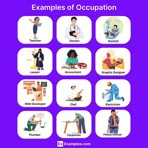 200+ Occupation Examples