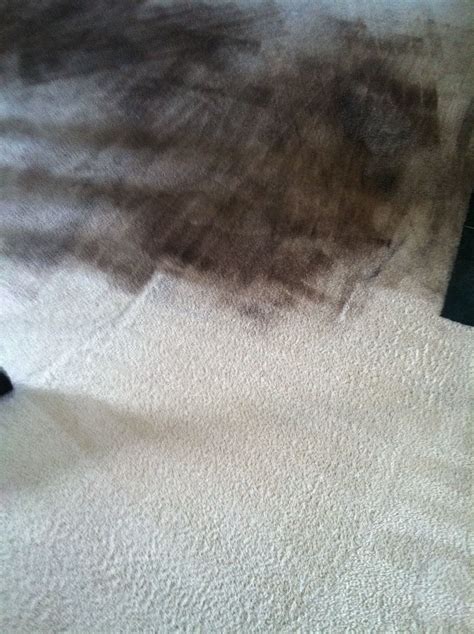 Soot and ash from a fireplace | How to clean carpet, Carpet cleaning ...