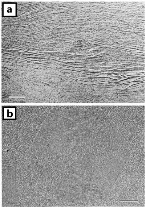 Review on Crystallization Strategies for Polymer Single Crystals