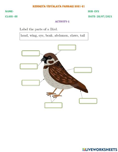 Bird Fly Worksheet 的图像结果