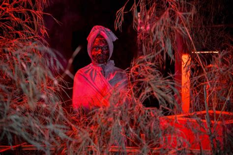 Image result for Biotechnology Field