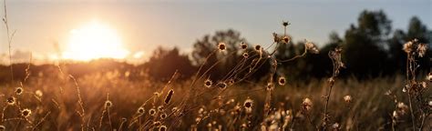 Swim in Sea 的图像结果