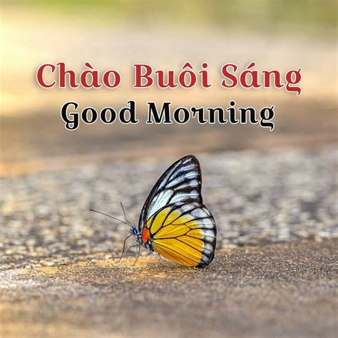 Good Morning Wishes & Images in Vietnamese - Good Morning Wishes