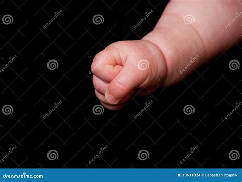 Clenched baby fist stock photo. Image of kiddie, hand - 13631324