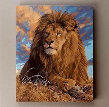 Image result for Paint by Number Lion for Adults