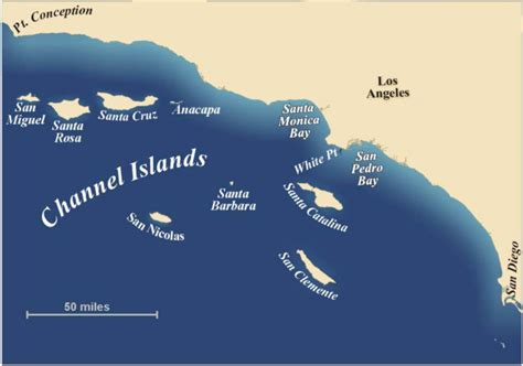 Image result for Axolotl Drawing Tutorial