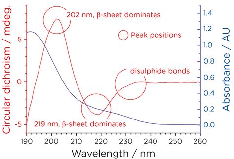 CD Spectroscope 的图像结果