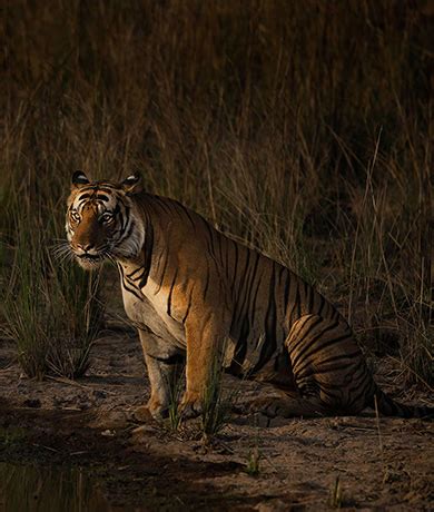 Hotel Bangabhumi | Home