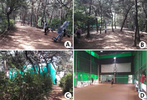 Badminton Facilities 的图像结果