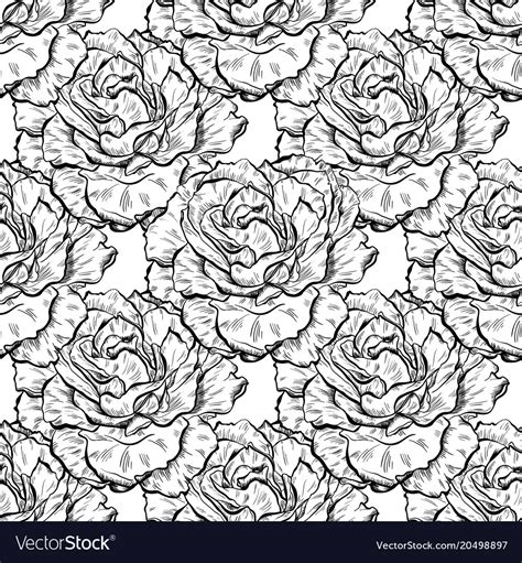 Detailed Pattern Vector 的图像结果