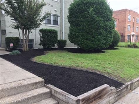 Landscaping Gallery | Landscaping Professionals Washington, D.C.