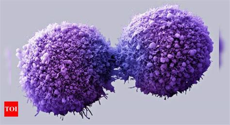 New immune mechanism to protect from cancer identified - Times of India