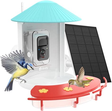 Amazon.com : NETVUE Birdfy® Hummee Smart Hummingbird Feeder with Camera ...