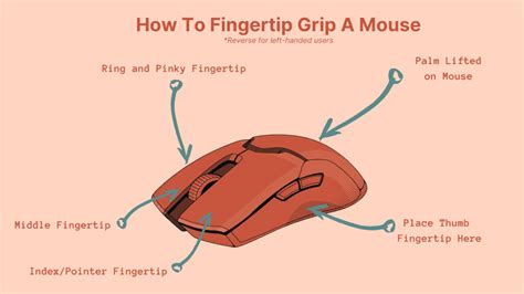 Fingertip Grip How To 的图像结果