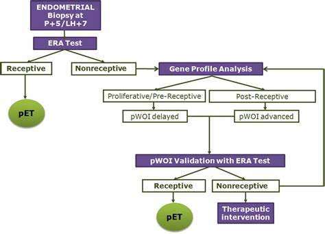 Endometrial Receptivity Array