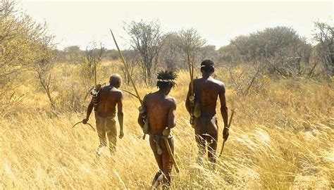 HELLO NAMIBIA SAFARIS (2026) All You Need to Know BEFORE You Go (with ...