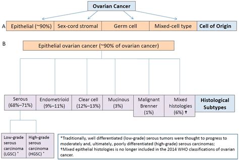 Ovarian Cancer Is It Genetic