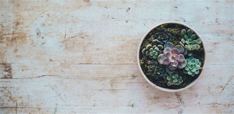 Wozney-Killian Funeral Home | Arcadia, WI