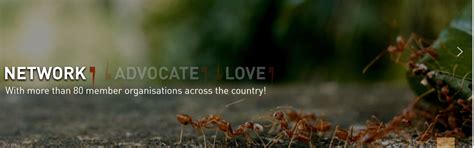 Animal Rescue NGOs in new delhi | Find Animal Rescue Charities in new delhi