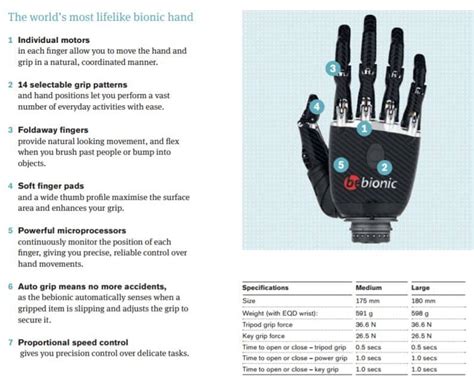 Image result for Bebionic Hand Users
