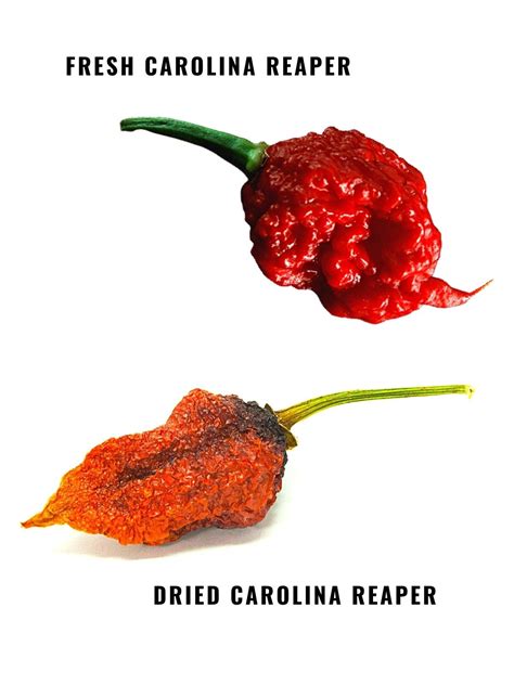 Brave The Carolina Reaper: Make The World's Hottest Sauce
