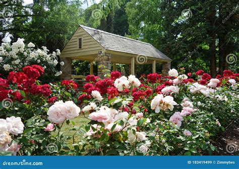 The Rose Garden in Raleigh North Carolina Stock Image - Image of ...