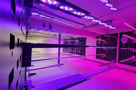 Vertical Farming Process 的图像结果