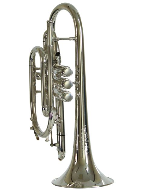 Image result for Cornet Musical Instrument