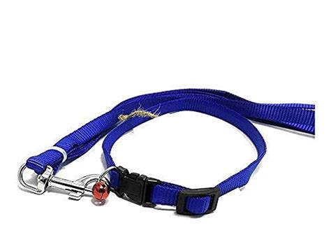 Pushkart Multi Designed Belt for Your Puppy & Small Dog Collar Belt ...